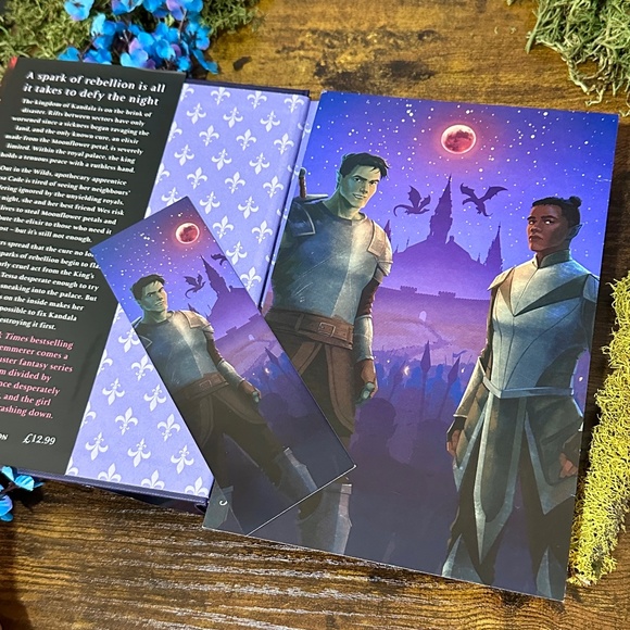Fairyloot September 2021 Defy the Night by Brigid Kemmerer - Picture 5 of 6